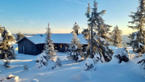 Unique new cabin by Hafjell & Skei with stunning view